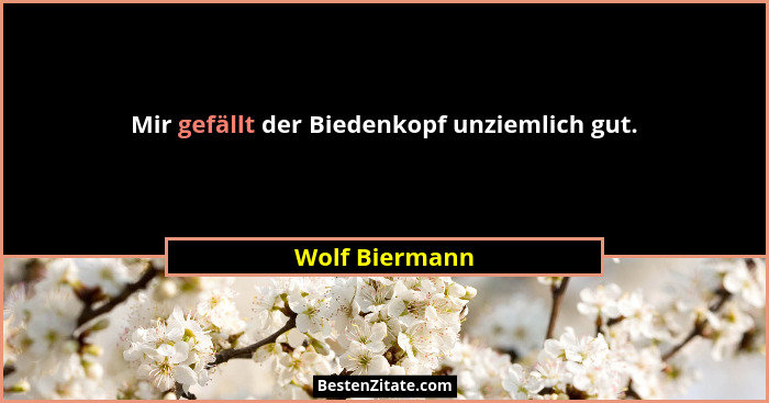 Mir gefällt der Biedenkopf unziemlich gut.... - Wolf Biermann