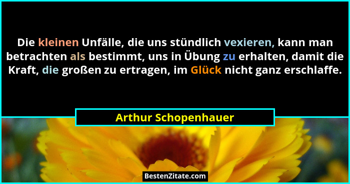 Die kleinen Unfälle, die uns stündlich vexieren, kann man betrachten als bestimmt, uns in Übung zu erhalten, damit die Kraft, di... - Arthur Schopenhauer
