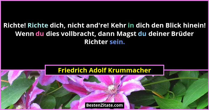 Richte! Richte dich, nicht and're! Kehr in dich den Blick hinein! Wenn du dies vollbracht, dann Magst du deiner Brüde... - Friedrich Adolf Krummacher