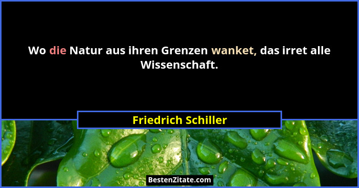 Wo die Natur aus ihren Grenzen wanket, das irret alle Wissenschaft.... - Friedrich Schiller