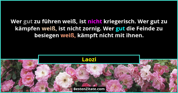 Wer gut zu führen weiß, ist nicht kriegerisch. Wer gut zu kämpfen weiß, ist nicht zornig. Wer gut die Feinde zu besiegen weiß, kämpft nicht mi... - Laozi
