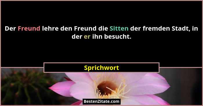 Der Freund lehre den Freund die Sitten der fremden Stadt, in der er ihn besucht.... - Sprichwort