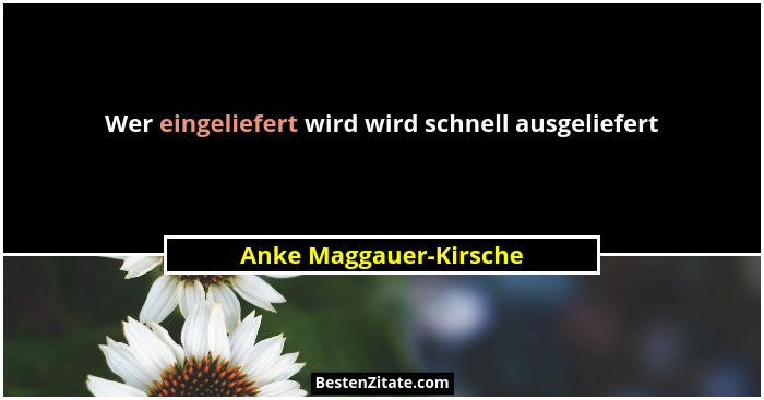 Wer eingeliefert wird wird schnell ausgeliefert... - Anke Maggauer-Kirsche