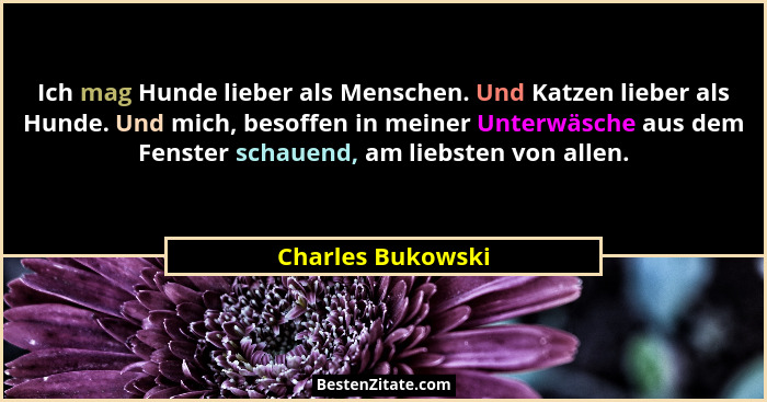 Ich mag Hunde lieber als Menschen. Und Katzen lieber als Hunde. Und mich, besoffen in meiner Unterwäsche aus dem Fenster schauend,... - Charles Bukowski