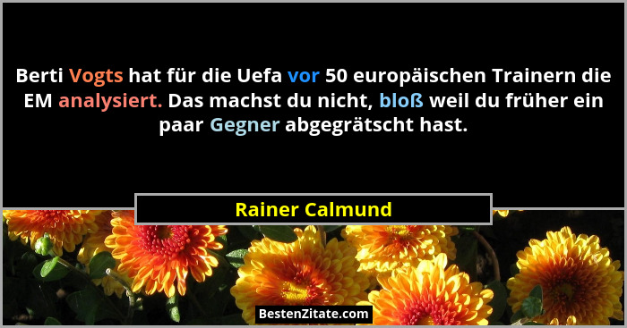 Berti Vogts hat für die Uefa vor 50 europäischen Trainern die EM analysiert. Das machst du nicht, bloß weil du früher ein paar Gegner... - Rainer Calmund