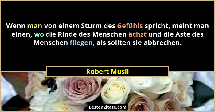 Wenn man von einem Sturm des Gefühls spricht, meint man einen, wo die Rinde des Menschen ächzt und die Äste des Menschen fliegen, als s... - Robert Musil