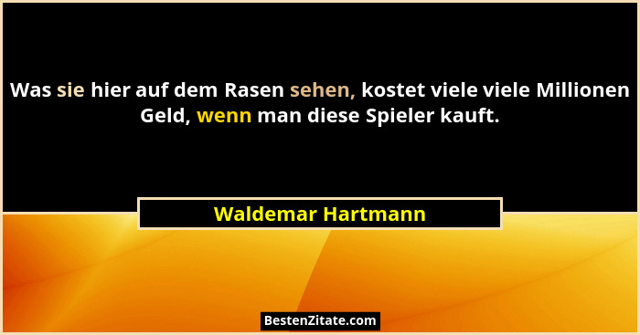 Was sie hier auf dem Rasen sehen, kostet viele viele Millionen Geld, wenn man diese Spieler kauft.... - Waldemar Hartmann