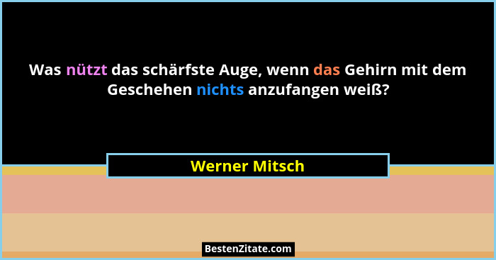 Was nützt das schärfste Auge, wenn das Gehirn mit dem Geschehen nichts anzufangen weiß?... - Werner Mitsch