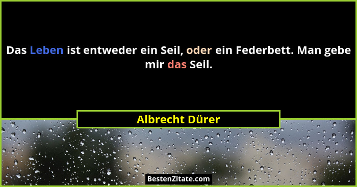 Das Leben ist entweder ein Seil, oder ein Federbett. Man gebe mir das Seil.... - Albrecht Dürer