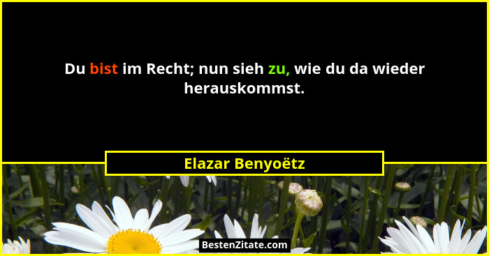 Du bist im Recht; nun sieh zu, wie du da wieder herauskommst.... - Elazar Benyoëtz