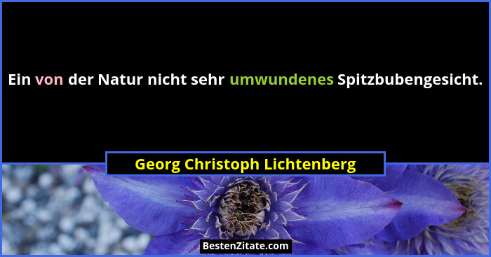 Ein von der Natur nicht sehr umwundenes Spitzbubengesicht.... - Georg Christoph Lichtenberg