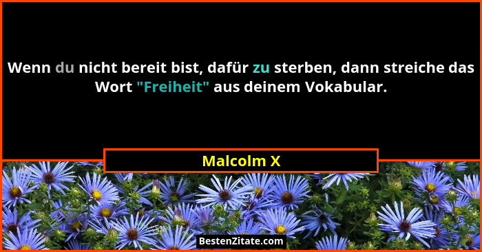 Wenn du nicht bereit bist, dafür zu sterben, dann streiche das Wort "Freiheit" aus deinem Vokabular.... - Malcolm X