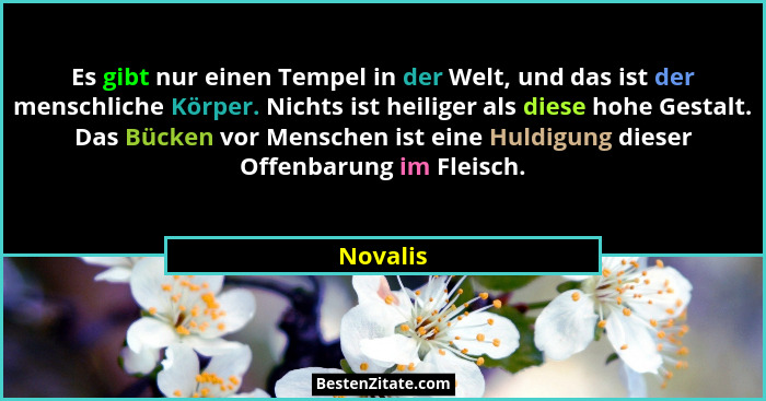 Es gibt nur einen Tempel in der Welt, und das ist der menschliche Körper. Nichts ist heiliger als diese hohe Gestalt. Das Bücken vor Mensche... - Novalis