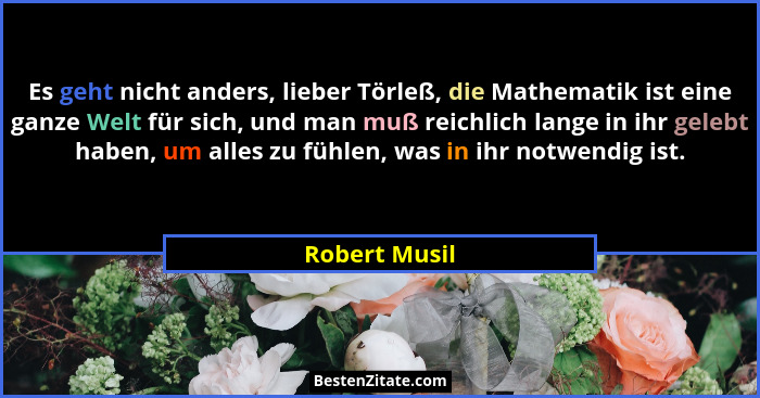 Es geht nicht anders, lieber Törleß, die Mathematik ist eine ganze Welt für sich, und man muß reichlich lange in ihr gelebt haben, um a... - Robert Musil