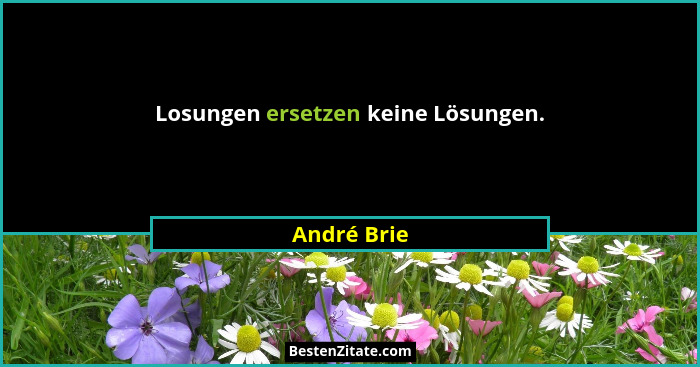 Losungen ersetzen keine Lösungen.... - André Brie