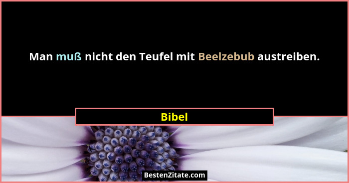 Man muß nicht den Teufel mit Beelzebub austreiben.... - Bibel