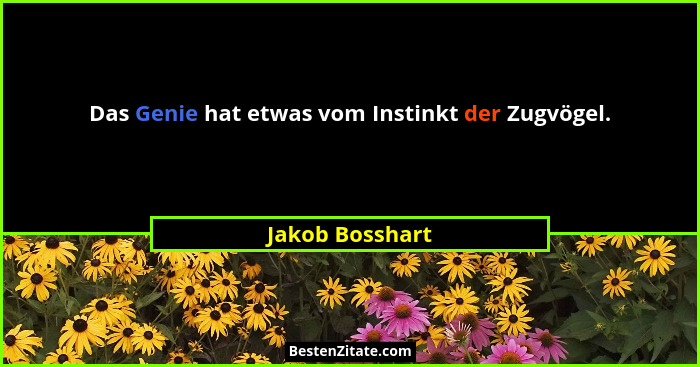 Das Genie hat etwas vom Instinkt der Zugvögel.... - Jakob Bosshart