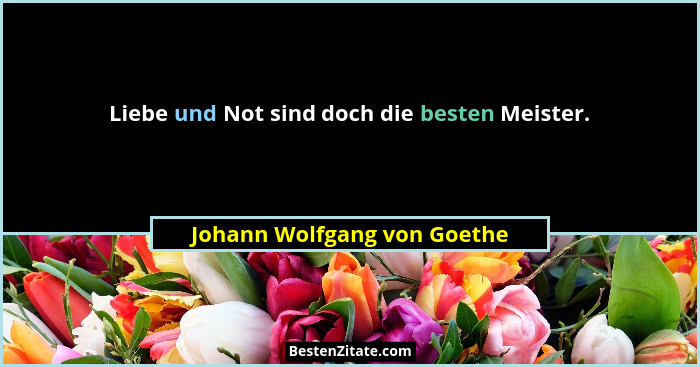 Liebe und Not sind doch die besten Meister.... - Johann Wolfgang von Goethe