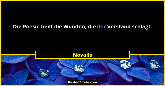 Die Poesie heilt die Wunden, die der Verstand schlägt.... - Novalis