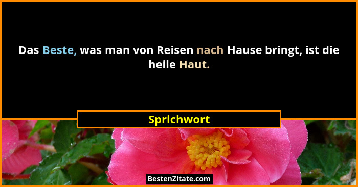 Das Beste, was man von Reisen nach Hause bringt, ist die heile Haut.... - Sprichwort