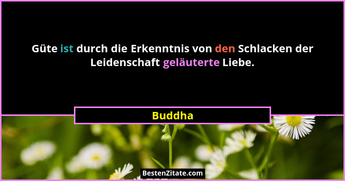 Güte ist durch die Erkenntnis von den Schlacken der Leidenschaft geläuterte Liebe.... - Buddha