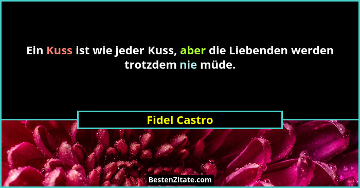 Ein Kuss ist wie jeder Kuss, aber die Liebenden werden trotzdem nie müde.... - Fidel Castro