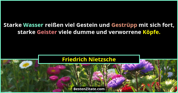Starke Wasser reißen viel Gestein und Gestrüpp mit sich fort, starke Geister viele dumme und verworrene Köpfe.... - Friedrich Nietzsche