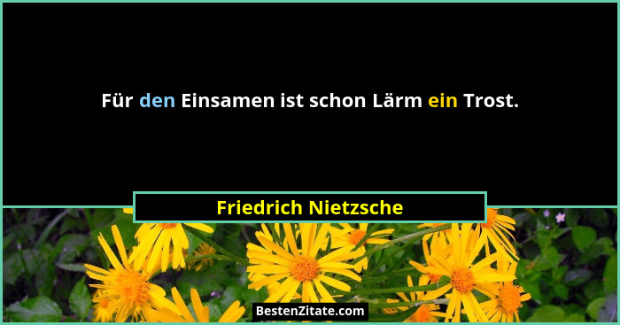 Für den Einsamen ist schon Lärm ein Trost.... - Friedrich Nietzsche