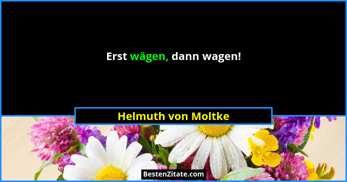 Erst wägen, dann wagen!... - Helmuth von Moltke