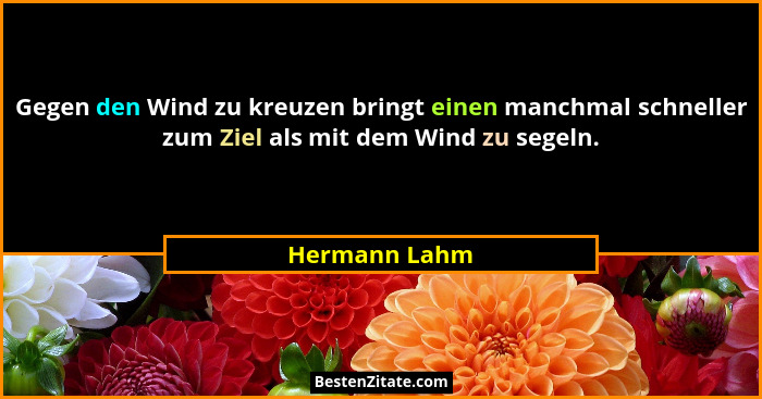 Gegen den Wind zu kreuzen bringt einen manchmal schneller zum Ziel als mit dem Wind zu segeln.... - Hermann Lahm