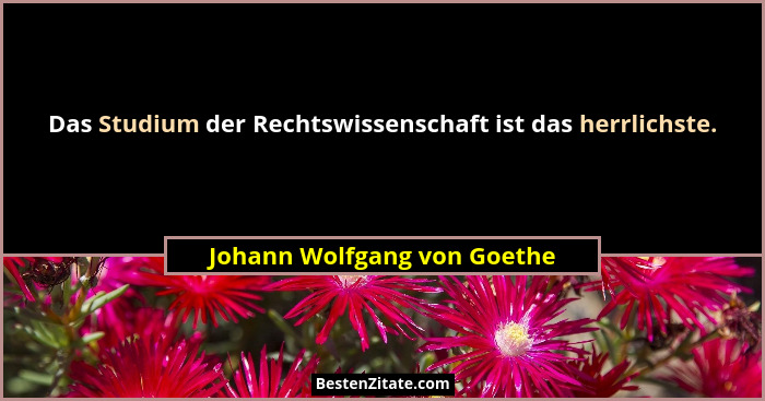 Das Studium der Rechtswissenschaft ist das herrlichste.... - Johann Wolfgang von Goethe