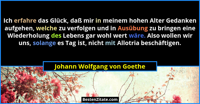 Ich erfahre das Glück, daß mir in meinem hohen Alter Gedanken aufgehen, welche zu verfolgen und in Ausübung zu bringen ei... - Johann Wolfgang von Goethe