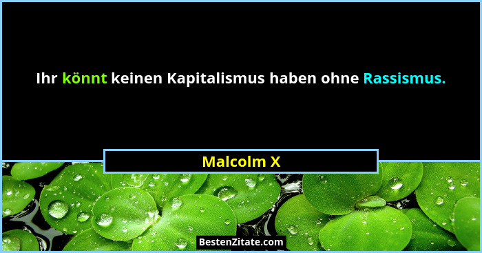 Ihr könnt keinen Kapitalismus haben ohne Rassismus.... - Malcolm X