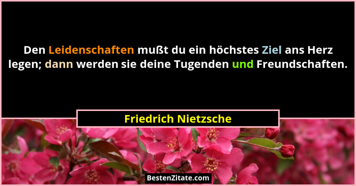 Den Leidenschaften mußt du ein höchstes Ziel ans Herz legen; dann werden sie deine Tugenden und Freundschaften.... - Friedrich Nietzsche