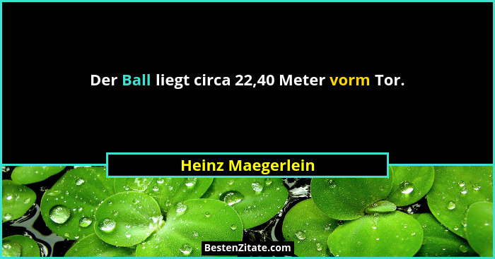 Der Ball liegt circa 22,40 Meter vorm Tor.... - Heinz Maegerlein