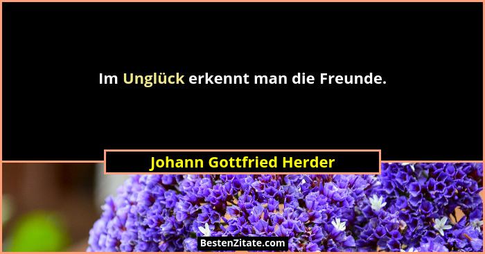 Im Unglück erkennt man die Freunde.... - Johann Gottfried Herder