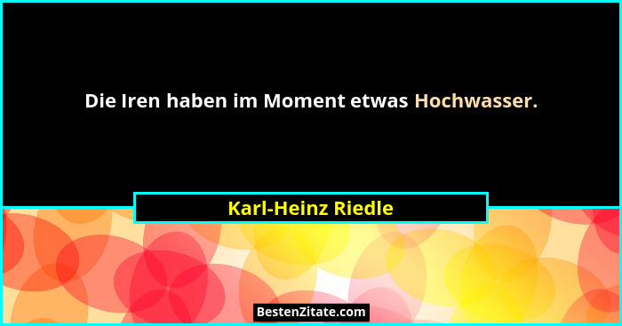 Die Iren haben im Moment etwas Hochwasser.... - Karl-Heinz Riedle