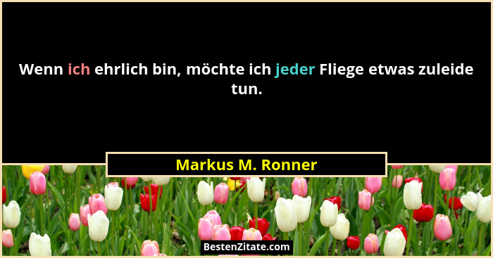 Wenn ich ehrlich bin, möchte ich jeder Fliege etwas zuleide tun.... - Markus M. Ronner