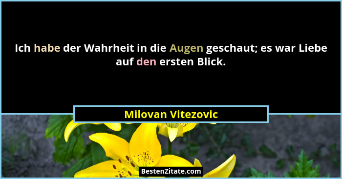 Ich habe der Wahrheit in die Augen geschaut; es war Liebe auf den ersten Blick.... - Milovan Vitezovic