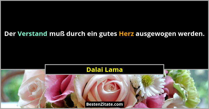 Der Verstand muß durch ein gutes Herz ausgewogen werden.... - Dalai Lama