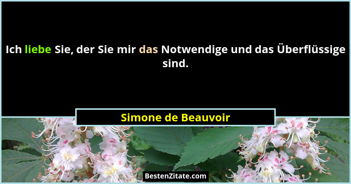 Ich liebe Sie, der Sie mir das Notwendige und das Überflüssige sind.... - Simone de Beauvoir
