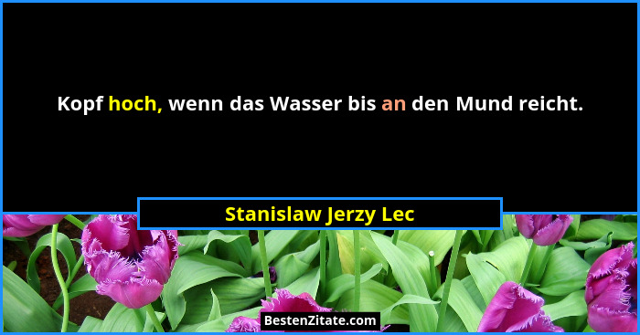 Kopf hoch, wenn das Wasser bis an den Mund reicht.... - Stanislaw Jerzy Lec