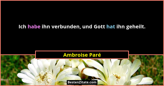 Ich habe ihn verbunden, und Gott hat ihn geheilt.... - Ambroise Paré