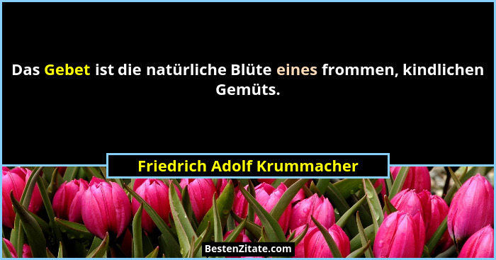 Das Gebet ist die natürliche Blüte eines frommen, kindlichen Gemüts.... - Friedrich Adolf Krummacher