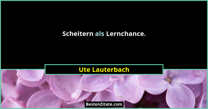 Scheitern als Lernchance.... - Ute Lauterbach