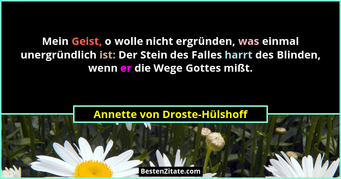 Mein Geist, o wolle nicht ergründen, was einmal unergründlich ist: Der Stein des Falles harrt des Blinden, wenn er die W... - Annette von Droste-Hülshoff