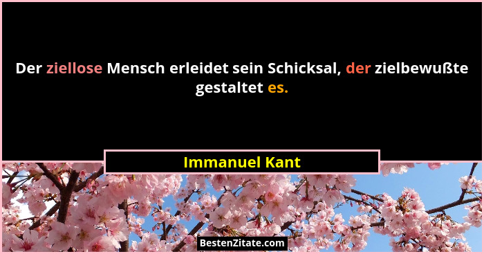 Der ziellose Mensch erleidet sein Schicksal, der zielbewußte gestaltet es.... - Immanuel Kant