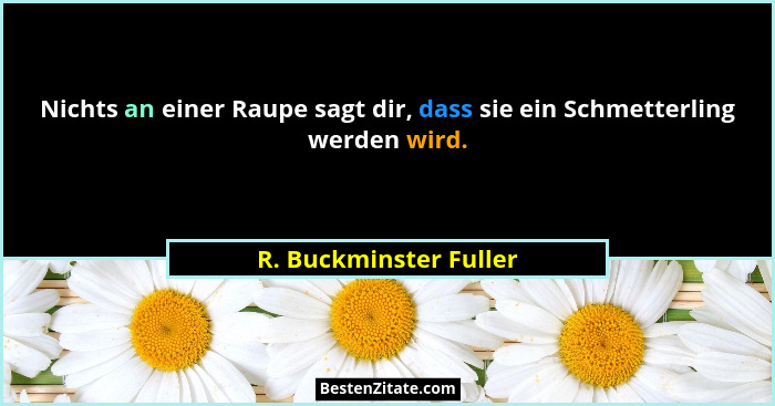 Nichts an einer Raupe sagt dir, dass sie ein Schmetterling werden wird.... - R. Buckminster Fuller