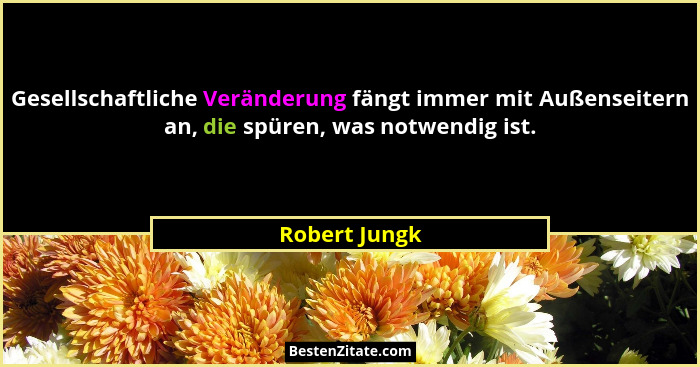 Gesellschaftliche Veränderung fängt immer mit Außenseitern an, die spüren, was notwendig ist.... - Robert Jungk