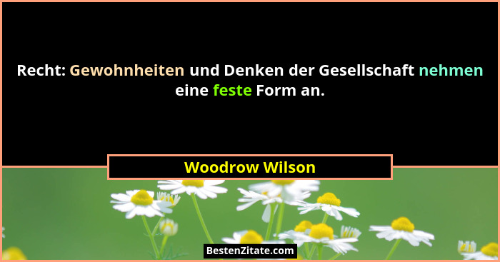 Recht: Gewohnheiten und Denken der Gesellschaft nehmen eine feste Form an.... - Woodrow Wilson